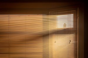 The 10 Most Popular Types of Blinds for Windows in 2023