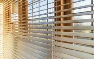 What Are the Best Types of Blinds for Schools?